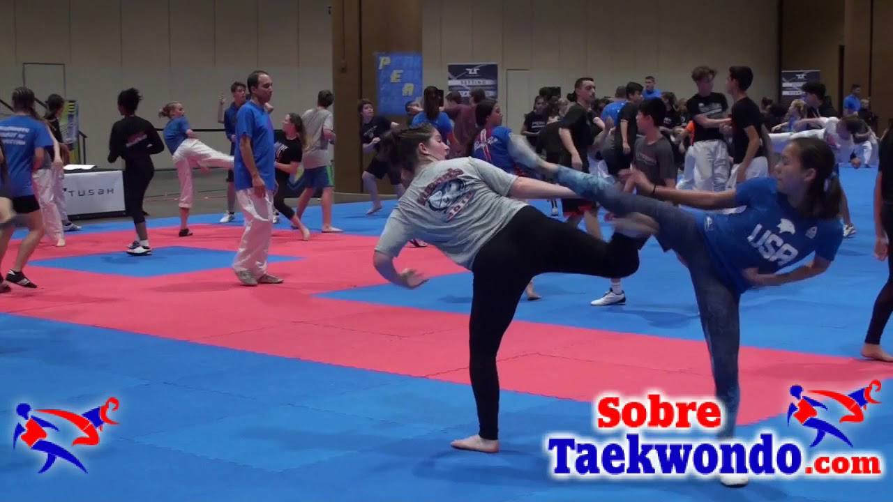 Taekwondo warm up and target drills.