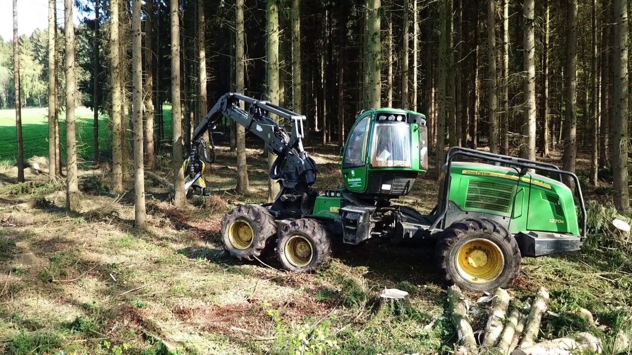 Bredenstein GmbH - Forstarbeiten
