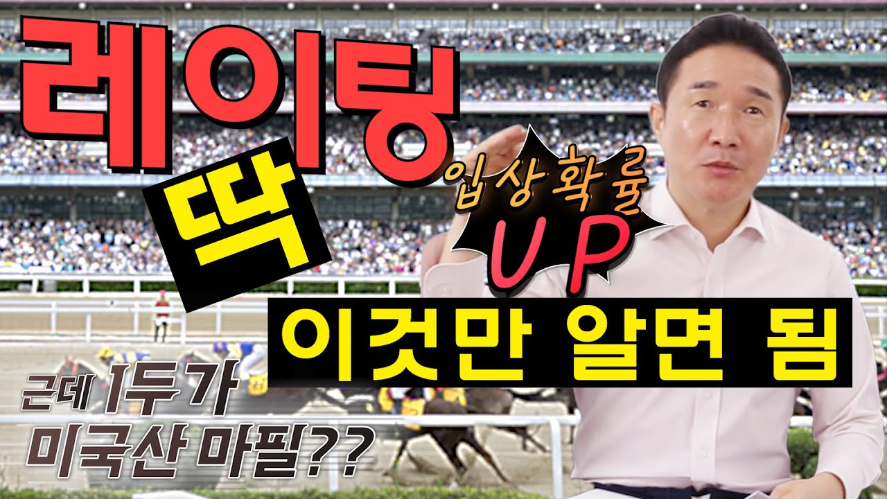 [경마] 복잡한 레이팅 점수!! 딱 이거 하나만 보시면 됩니다!!(feat 경주마 능력에 따른 점수부여)