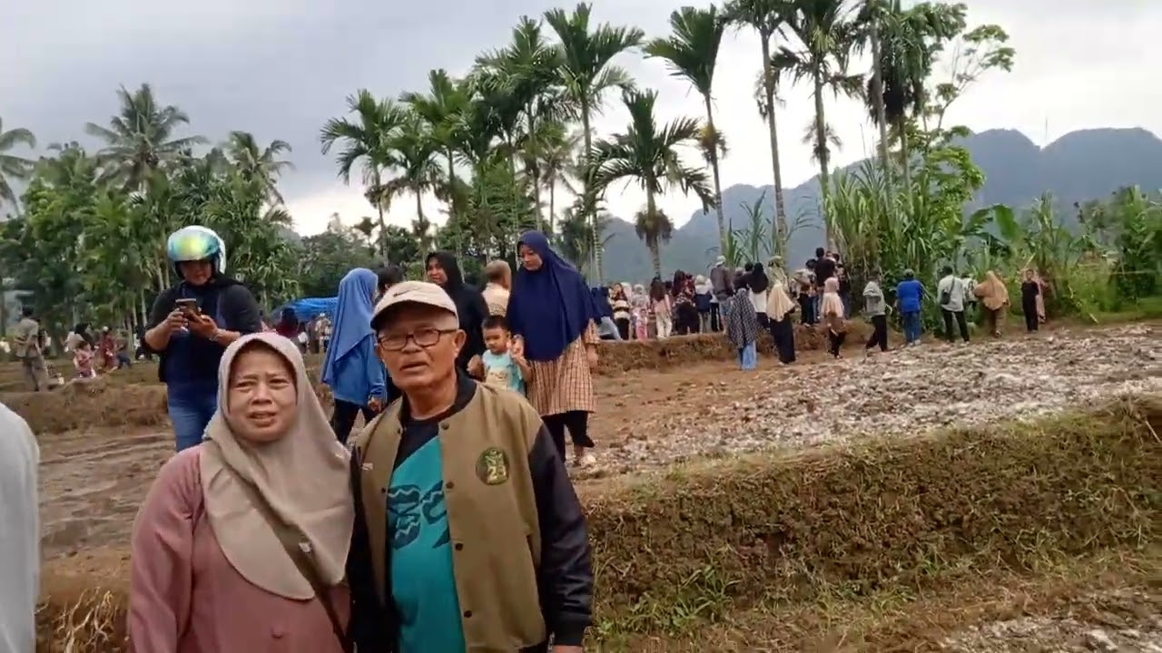 Shinkole //Fenomena Sawah Berlubang//Situjuah Batua