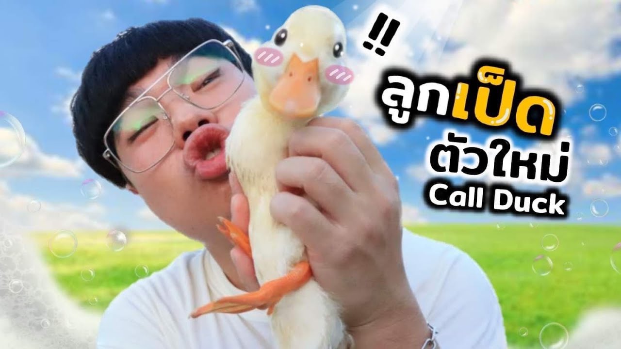 คิดถึงเจ้าเป็ดน้อย....เลยซื้อเจ้าเป็ดใหม่!!