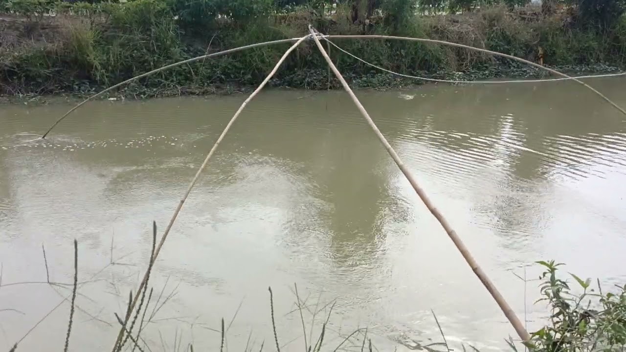 Mencari ikan dengan tangkul!!Jangan lupa like, coment dan suscribe nya #alattradisional#tangkul#anco