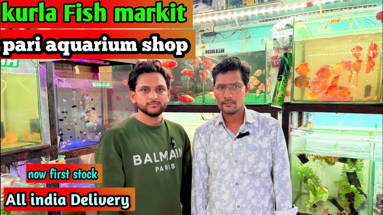Pari aquarium Kurla | Kurla fish market | kurla fish market latest video | pari aqurium latest video