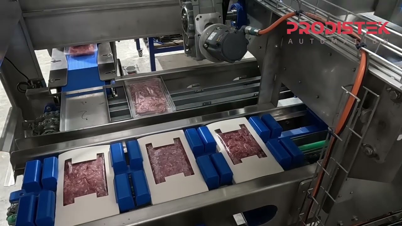 Enfajadora Automática de Bandejas con Faja de Cartón | Prodistek Automation