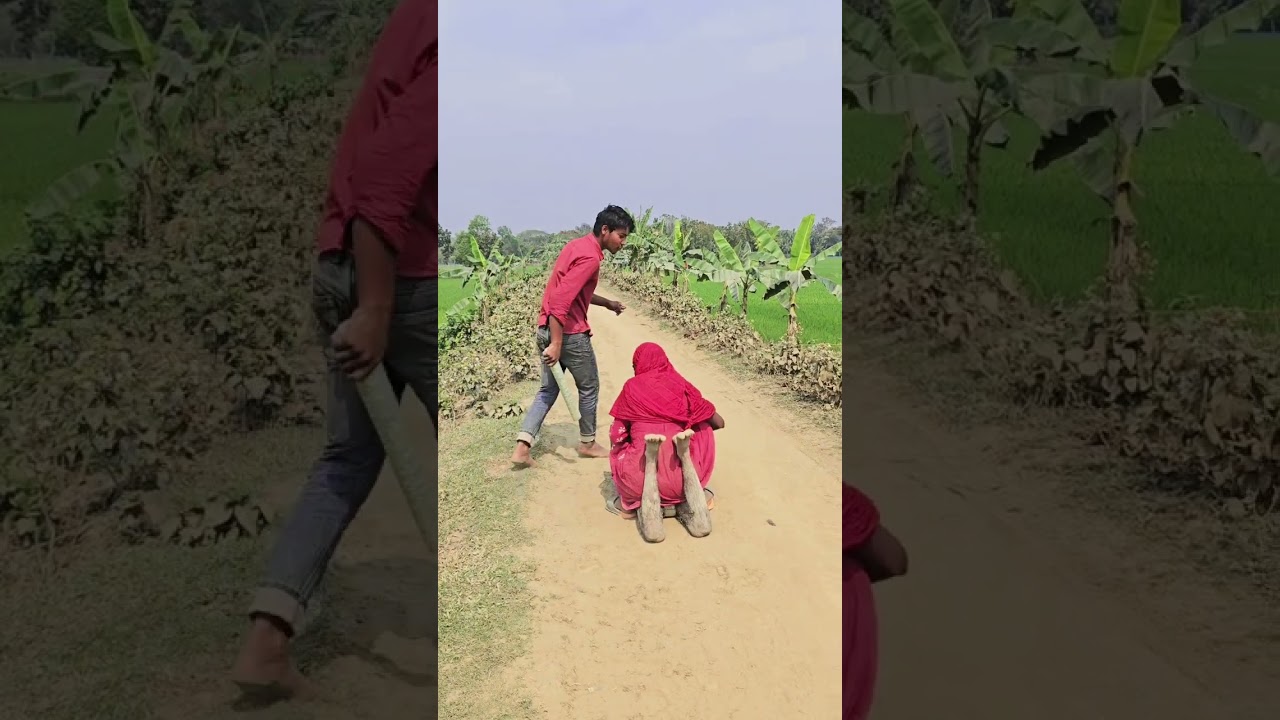 করে কি