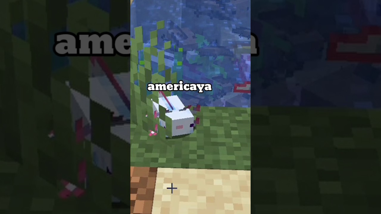 America Ya ;) #axolotl #minecraft #shorts