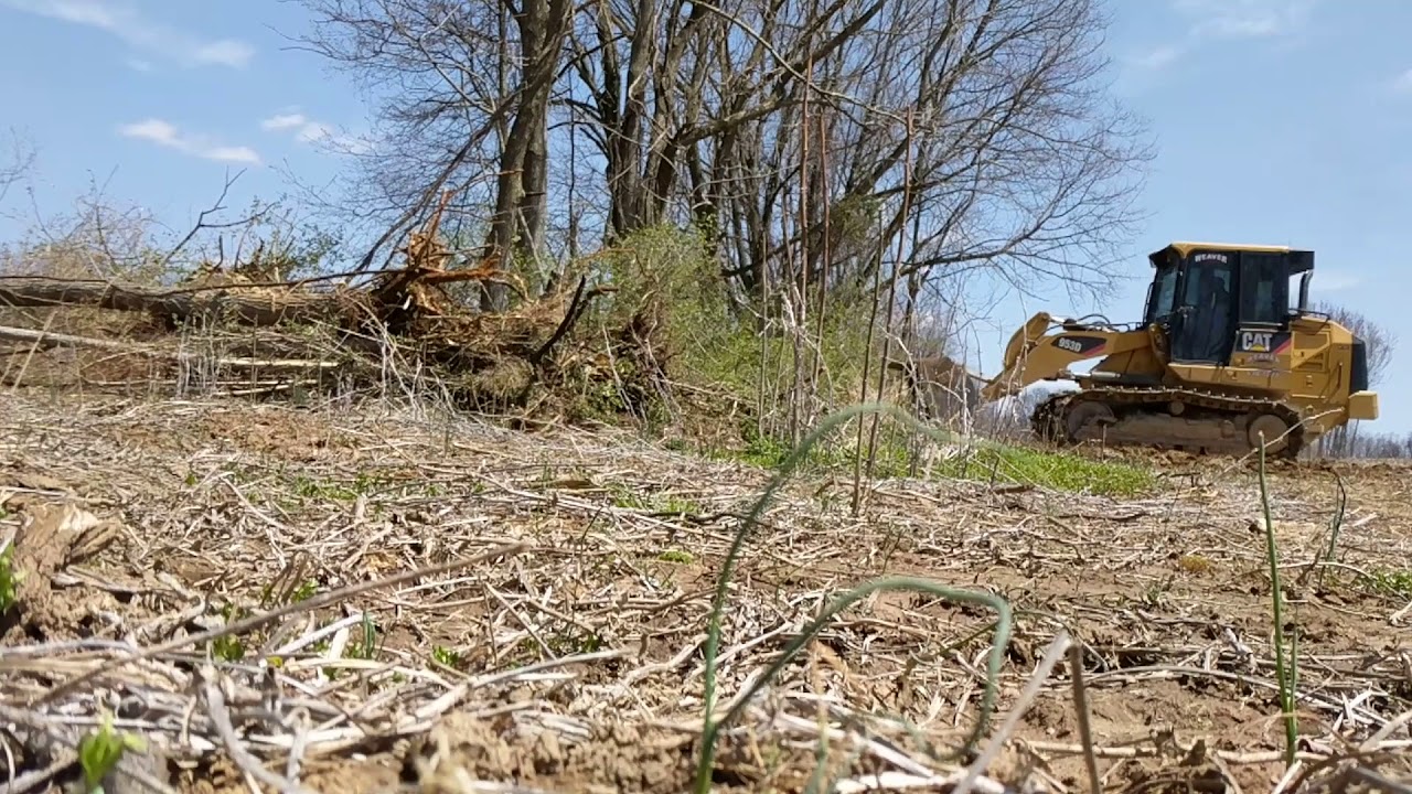 How to remove trees,, Cat track loader