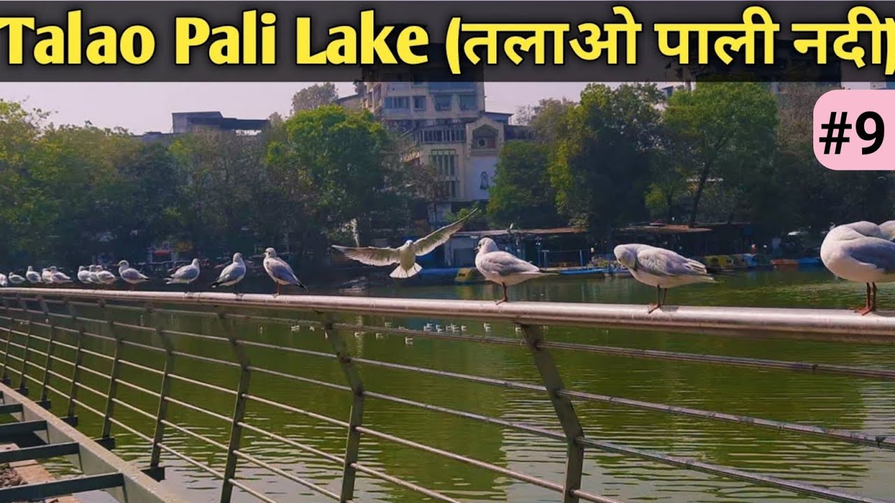 Talao Pali Thane | Masunda Lake History | Some Best Clips Captured Near Talao Pali Lake