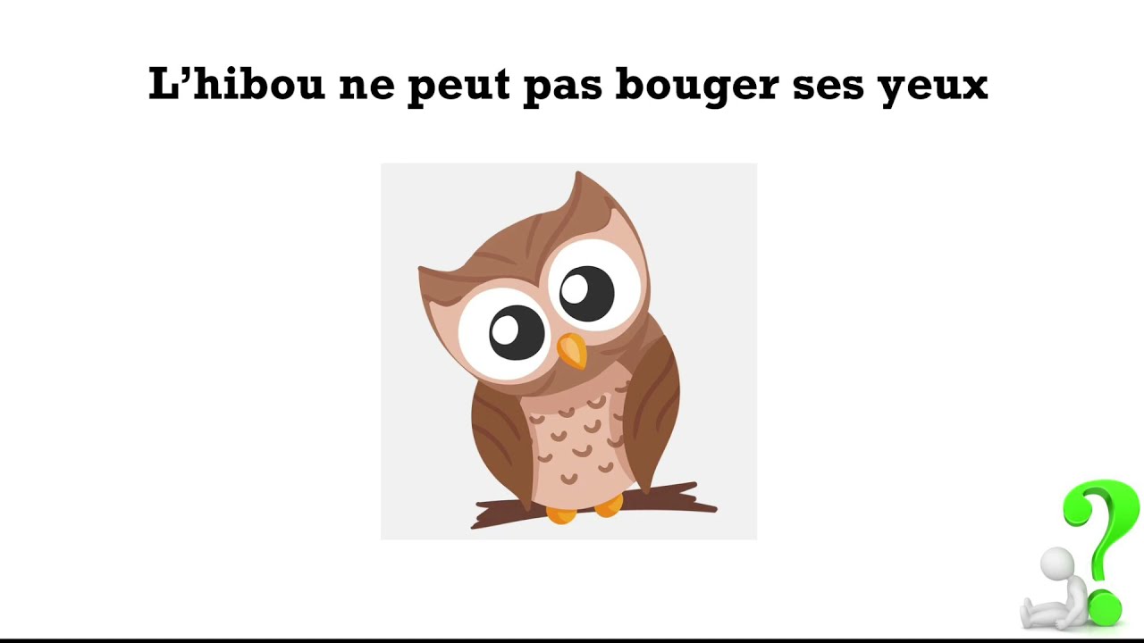 Questions absurdes part9