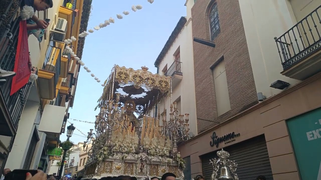PETALADA A MARÍA SANTÍSIMA DE LA PIEDAD EN SU EXTRAORDINARIA - CALLE LUIS DE RUTE - BM EL CARMEN.