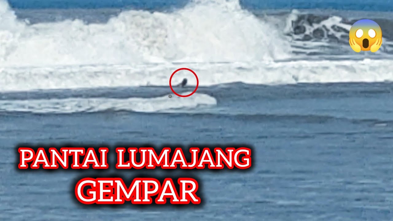 Detik Detik Menggemparkan‼️Ombak Pantai Selatan Tidak Bersahabat Warga Lumajang Tumpa Disini