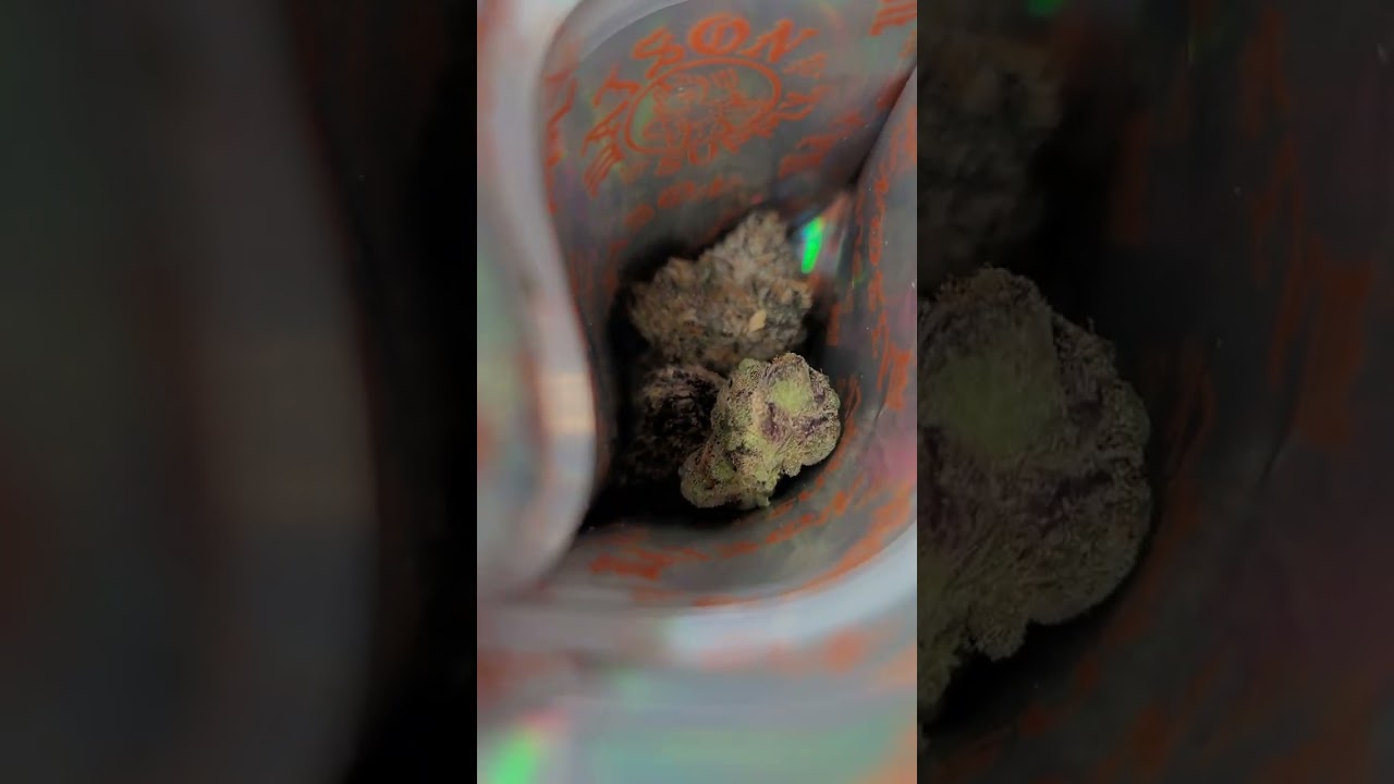 COLD HEAT INDOOR NEW YORK RUNTS X TRIANGLE MINTZ