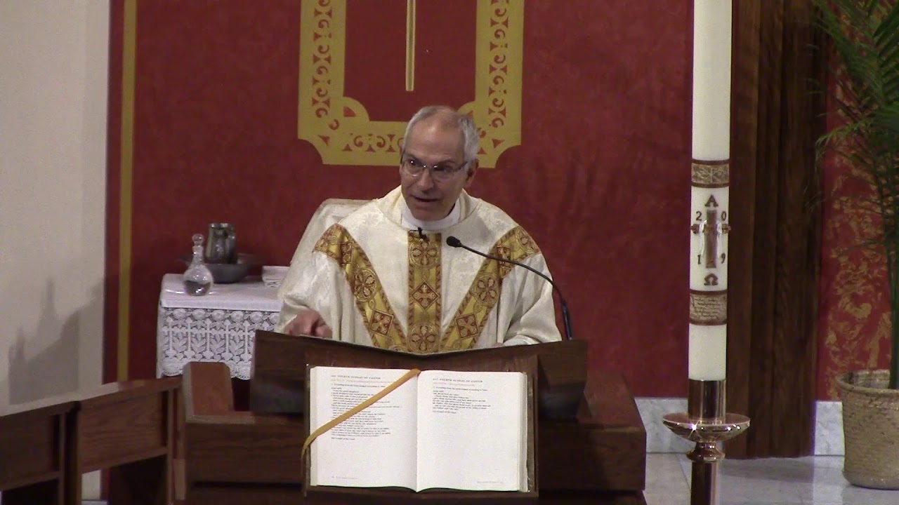 Fourth Sunday of Easter (Year C) - Fr. Hahn