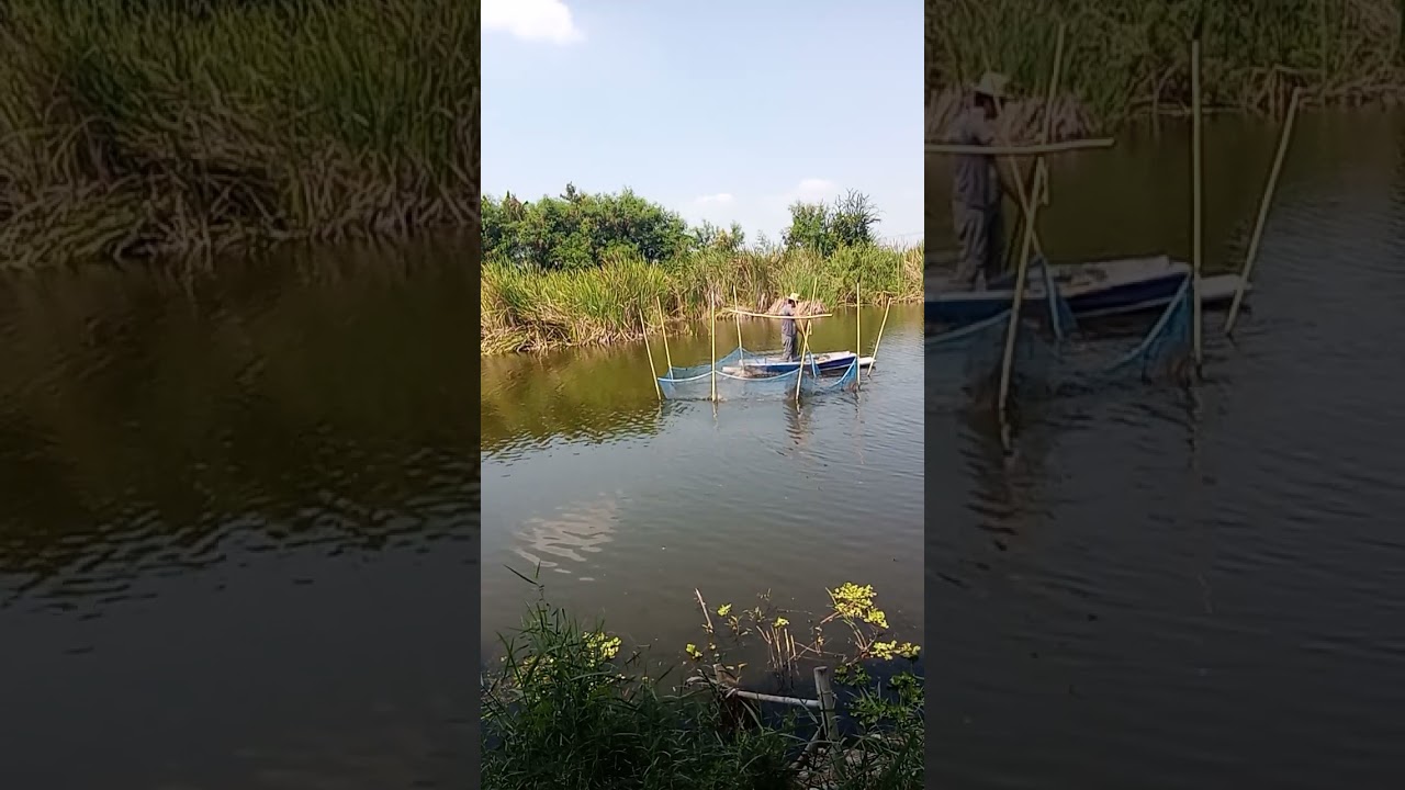 20 กุมภาพันธ์ ค.ศ. 2026