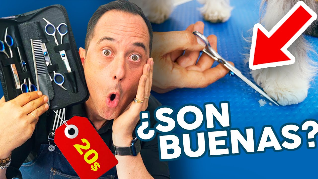 ¡FUNCIONAN!😱😱Las TIJERAS más baratas para CORTAR EL PELO a tu perro en casa o en PELUQUERÍA CANINA