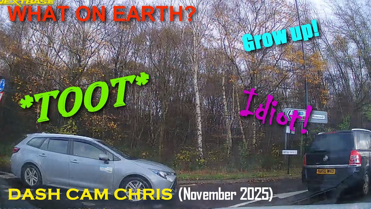 What on Earth? (Dash Cam Compilation November 2025)