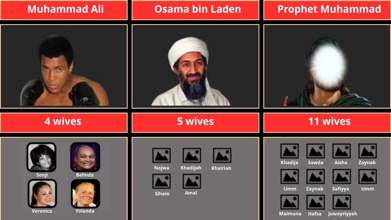 How Many Wife Of Human