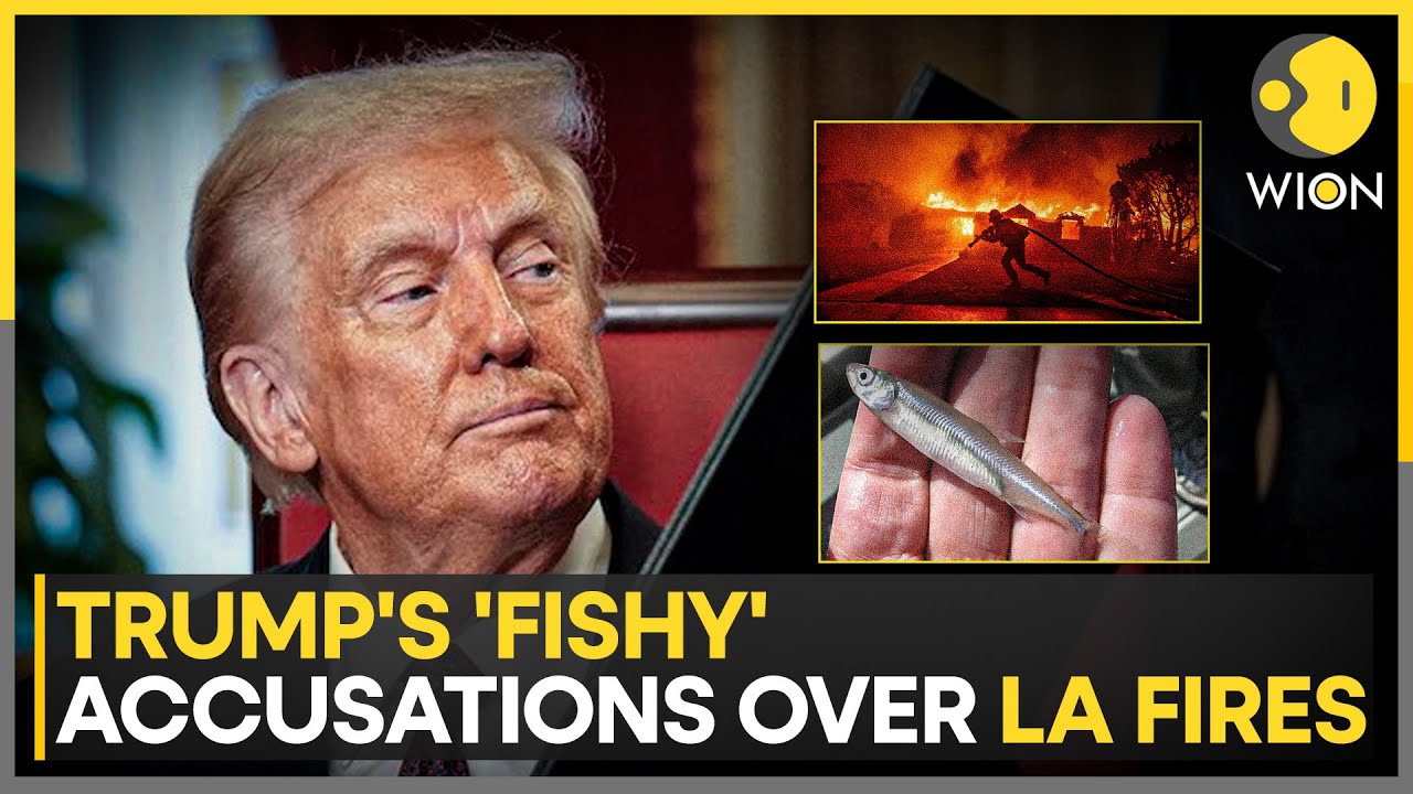 Donald Trump Blames California's Water Shortages On Delta Smelt Protection | USA News | WION