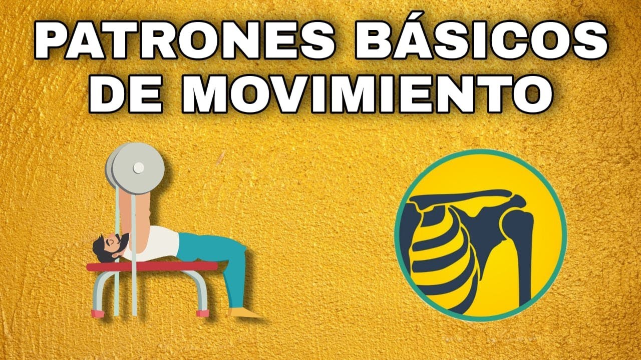 📋 [ORGANIZA TUS ENTRENAMIENTOS] PATRONES BÁSICOS DE MOVIMIENTO VS RUTINA WEIDER