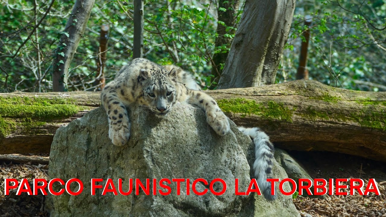 PARCO FAUNISTICO LA TORBIERA