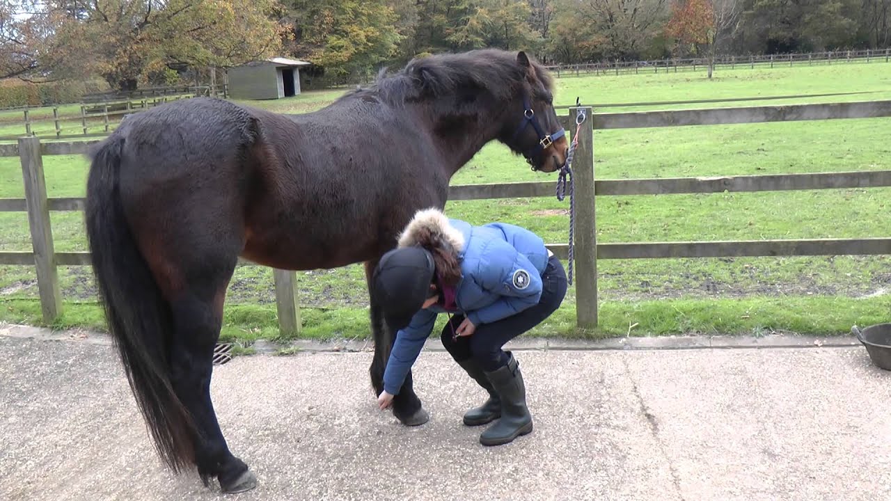 PONY How-To: Picking out your pony's hooves