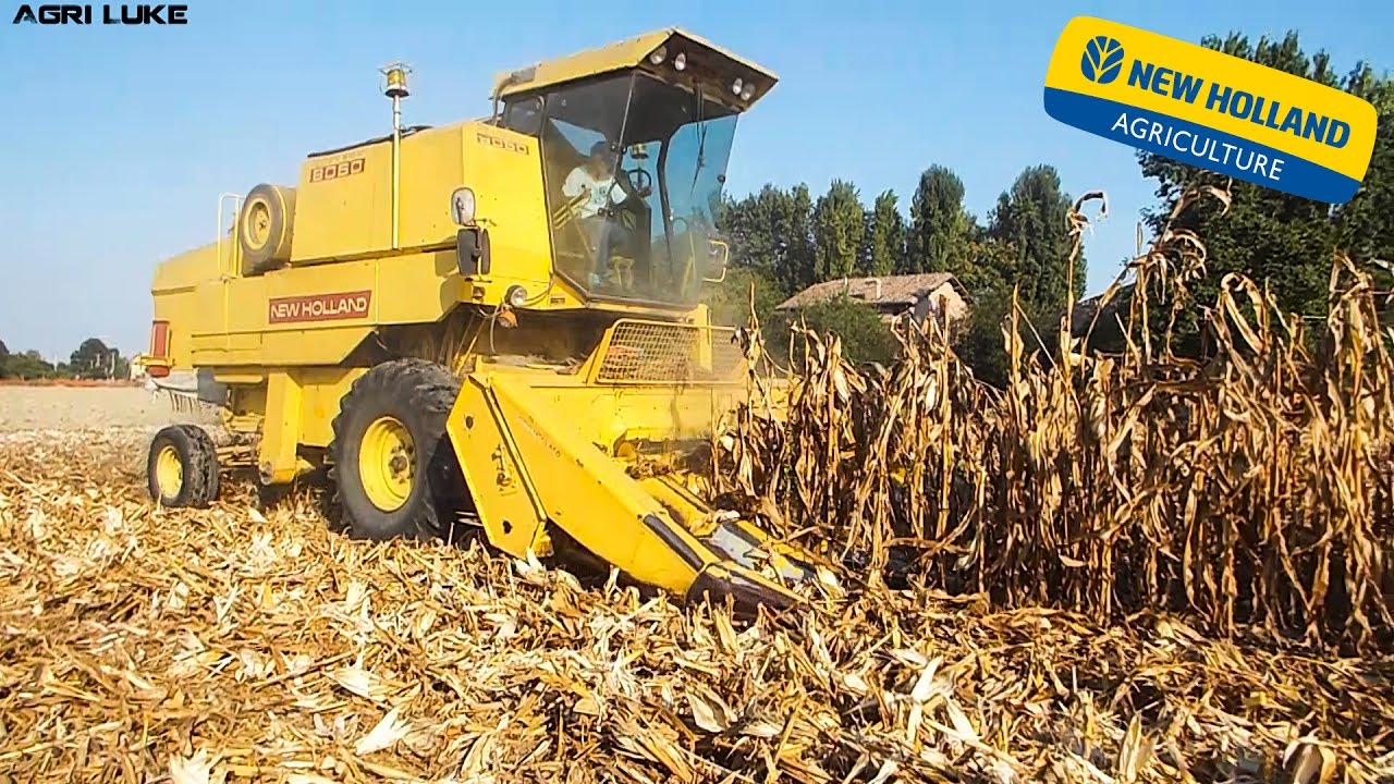 New Holland Clayson 8060 | Iveco-Truck 619 | Threshing Maize | Trebbiatura Mais