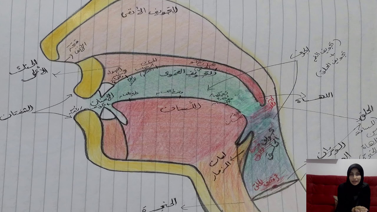 9. جهاز النطق