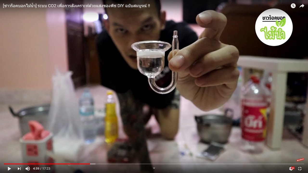ระบบ CO2 เพื่อการสังเคราะห์ด้วยแสงของพืช DIY ฉบับสมบูรณ์ | ชาวร็อคบอกไม้น้ำ