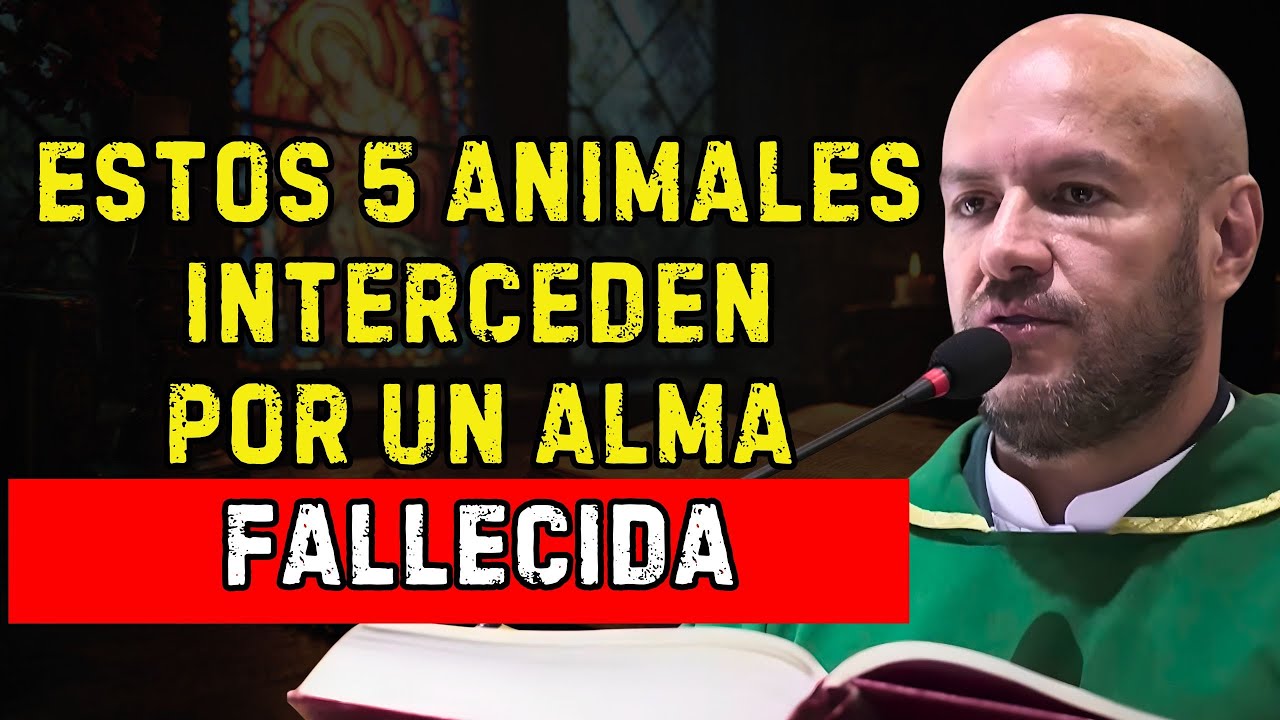 ESTOS 5 ANIMALES INTERCEDEN POR UN ALMA FALLECIDA — ¡NADIE LO SABE! |  Padre Freddy Bustamante
