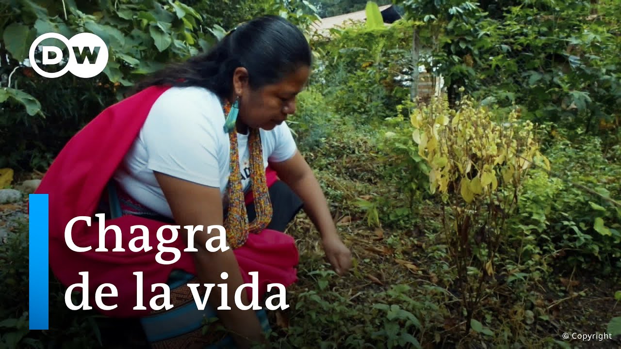 Chagras, las huertas circulares de Putumayo
