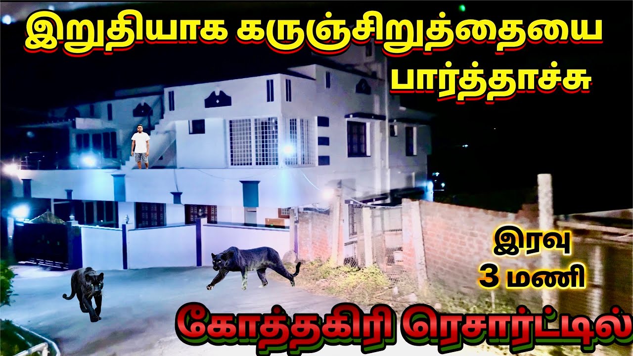 BLACK PANTHER 🐆 Spotted in kotagiri Bear wood castle resort midnight visit Leopard spotted truely