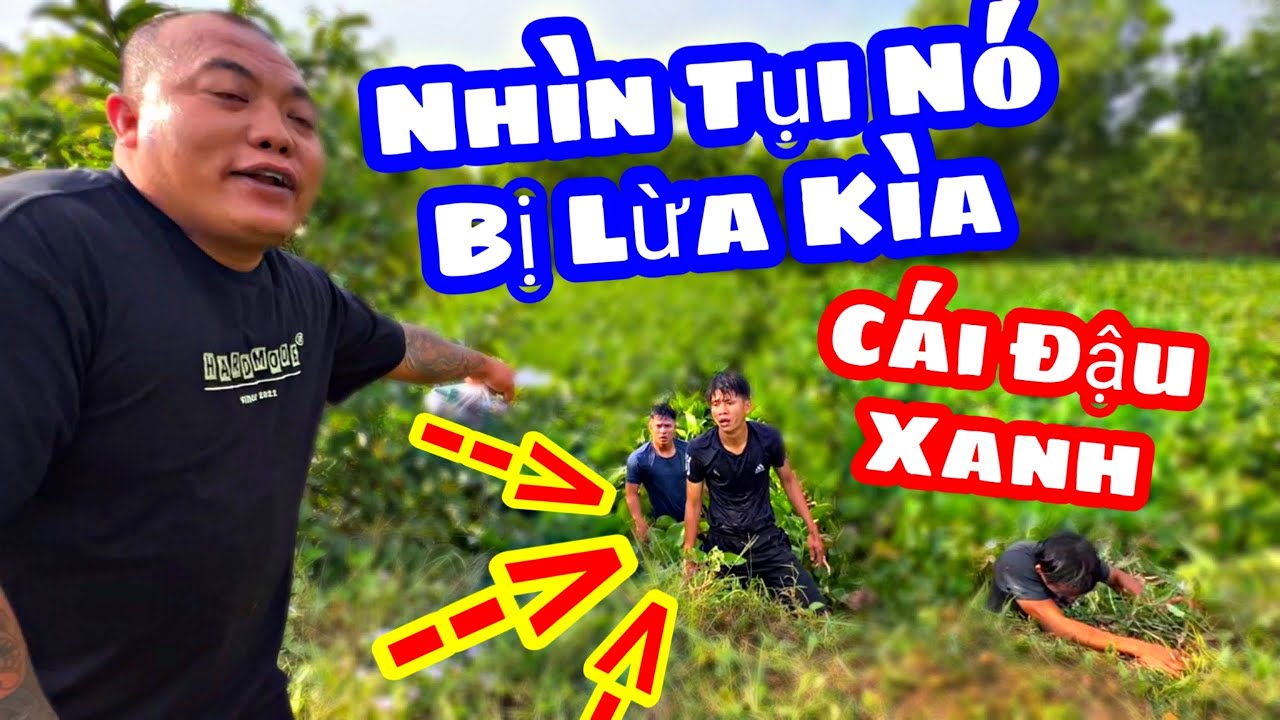 TXVL - Ku Lùn Bất lực Nhìn Bị Thánh Xàm Lừa một Cú Khóc Không Thánh Tiếng