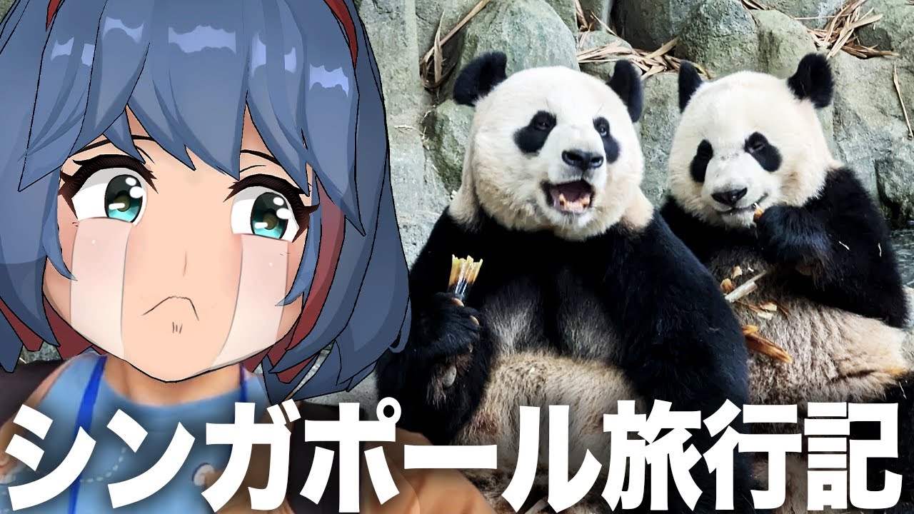 【Vlog】真夜中の動物園「ナイトサファリ」が楽しすぎた、、、【シンガポール旅行最終回】