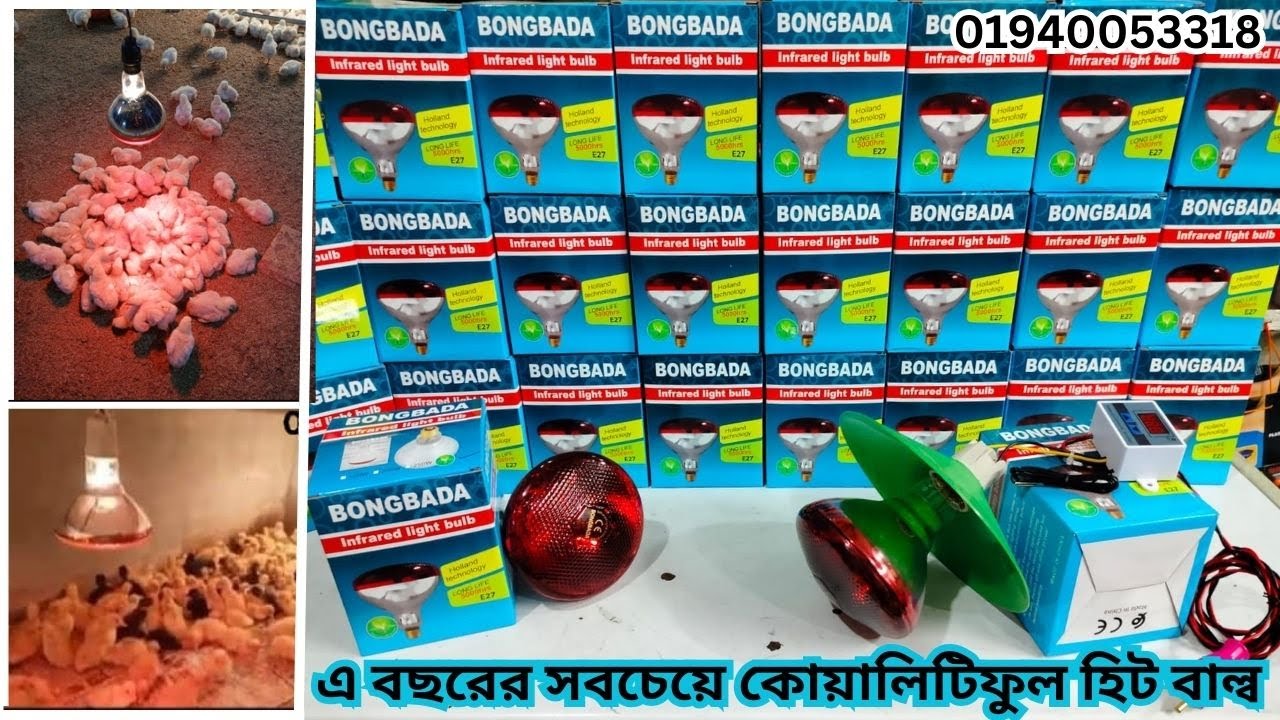 ইনফ্রারেড হিটার বাল্ব 250 WATT ✆০১৯৪০০৫৩৩১৮ Infrared light bulb best quality