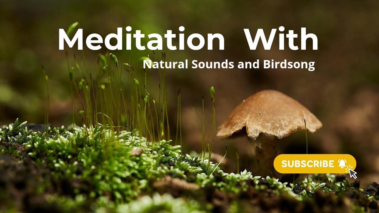 Meditation with Natural sounds and Birdsong | Peaceful natural for meditation, yoga , sleep