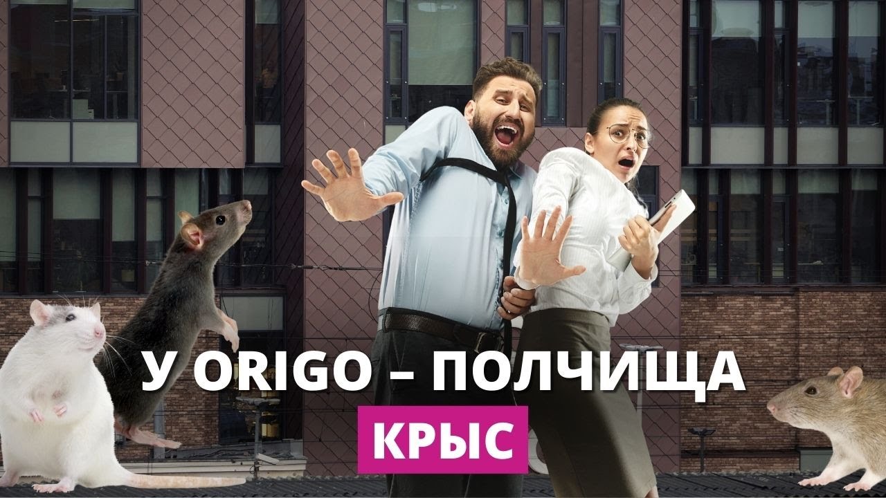 Нашествие крыс в самом центре Риги. Инспекция здоровья начнёт проверку