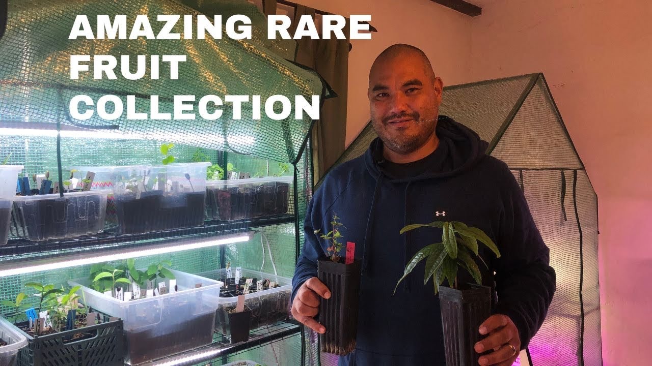 A Tour or Hapa Joe’s Garden and Rare Fruit Collection