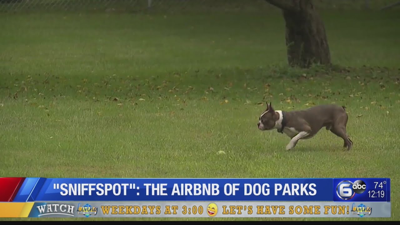 Sniffspot: Private spaces for rent for dogs