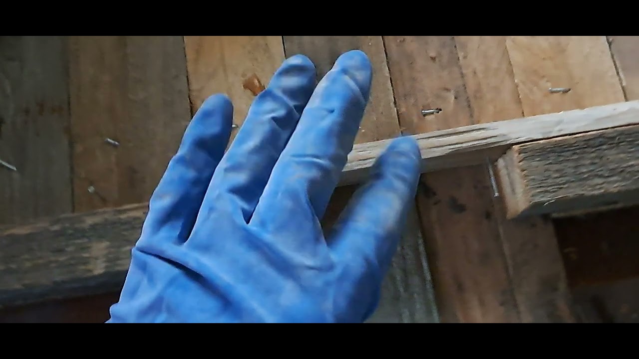 Budowa uli czy.1 Dennica