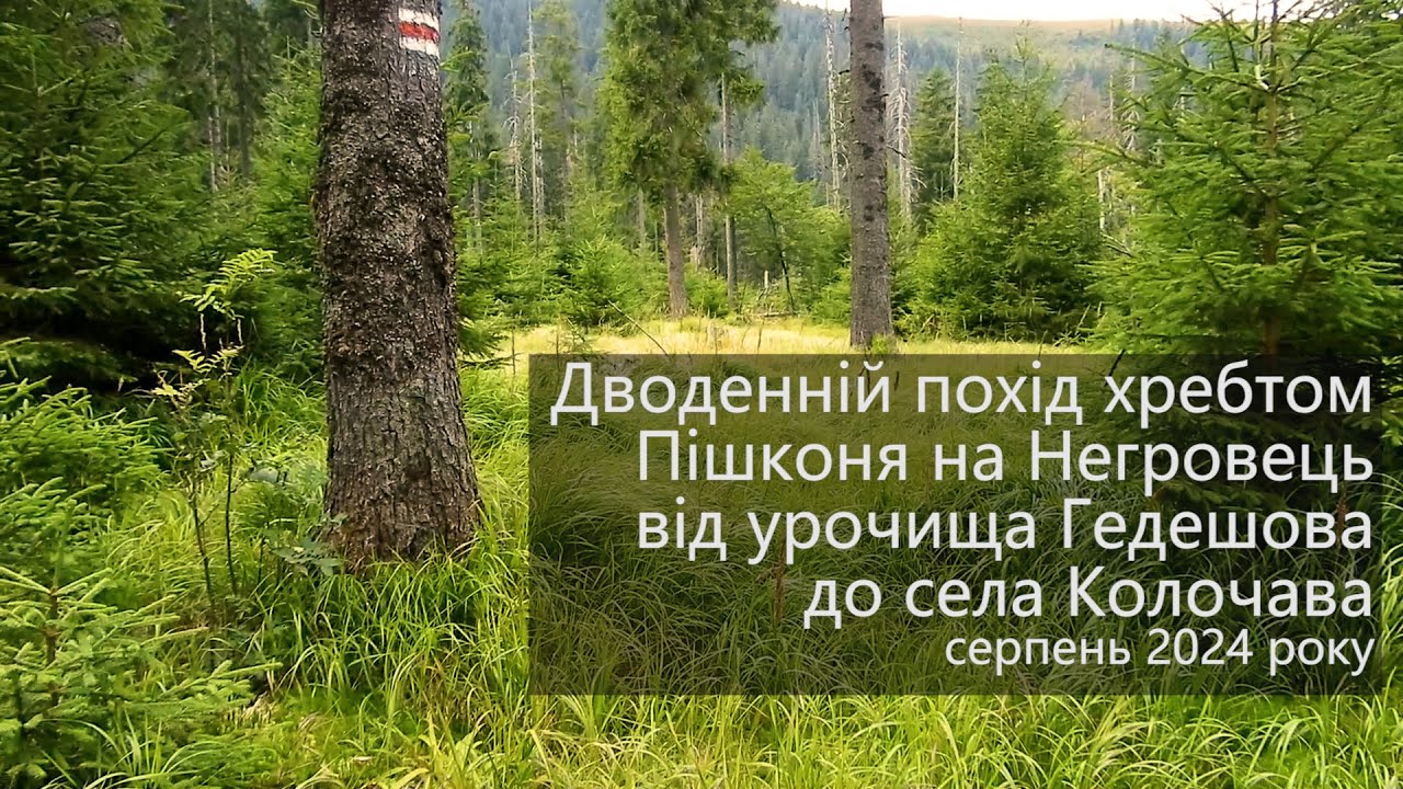 Похід хребтом Пішконя на Негровець від урочища Гедешова до села Колочава, серпень 2024 #armukraine