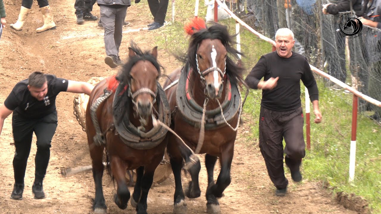 - BUNDAVICA POKOSIO KONKURENCIJU PEROLAKE NA FINALU IZAČIĆA-