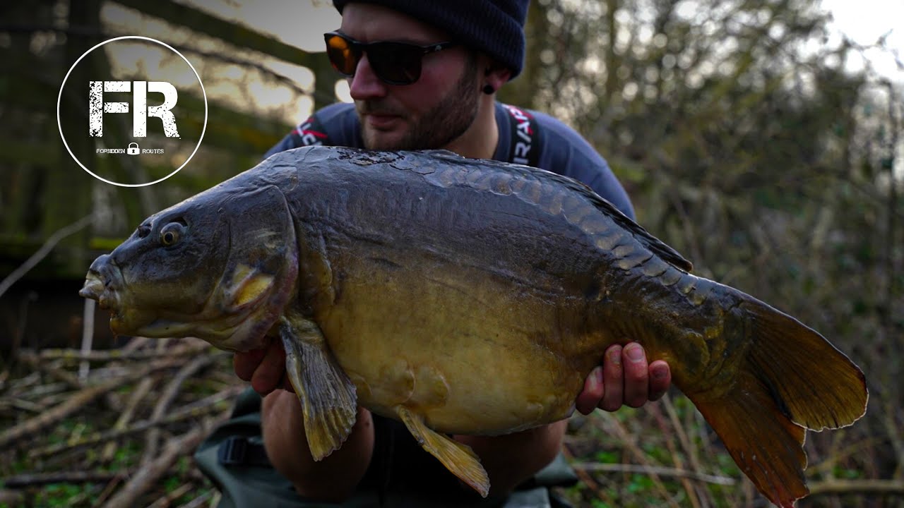 Forbidden Routes CATCHES CARP FROM SEWER DRAINS!