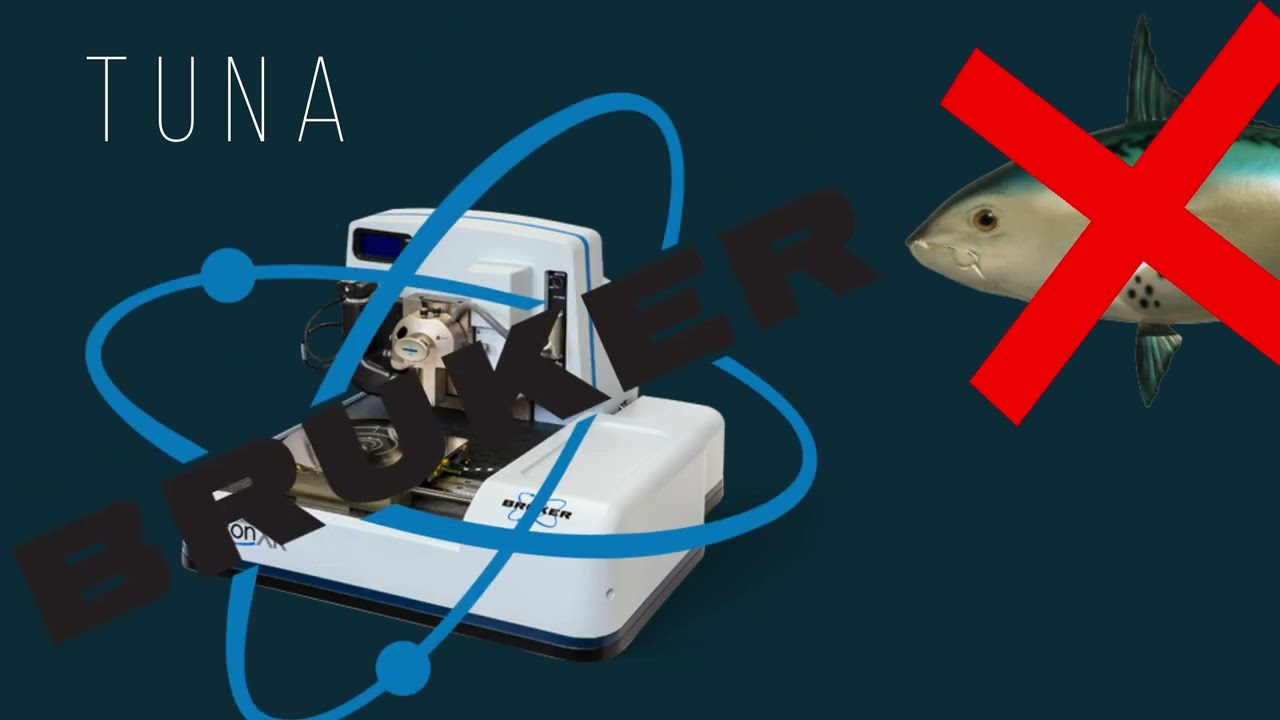 PeakForce TUNA&trade;️