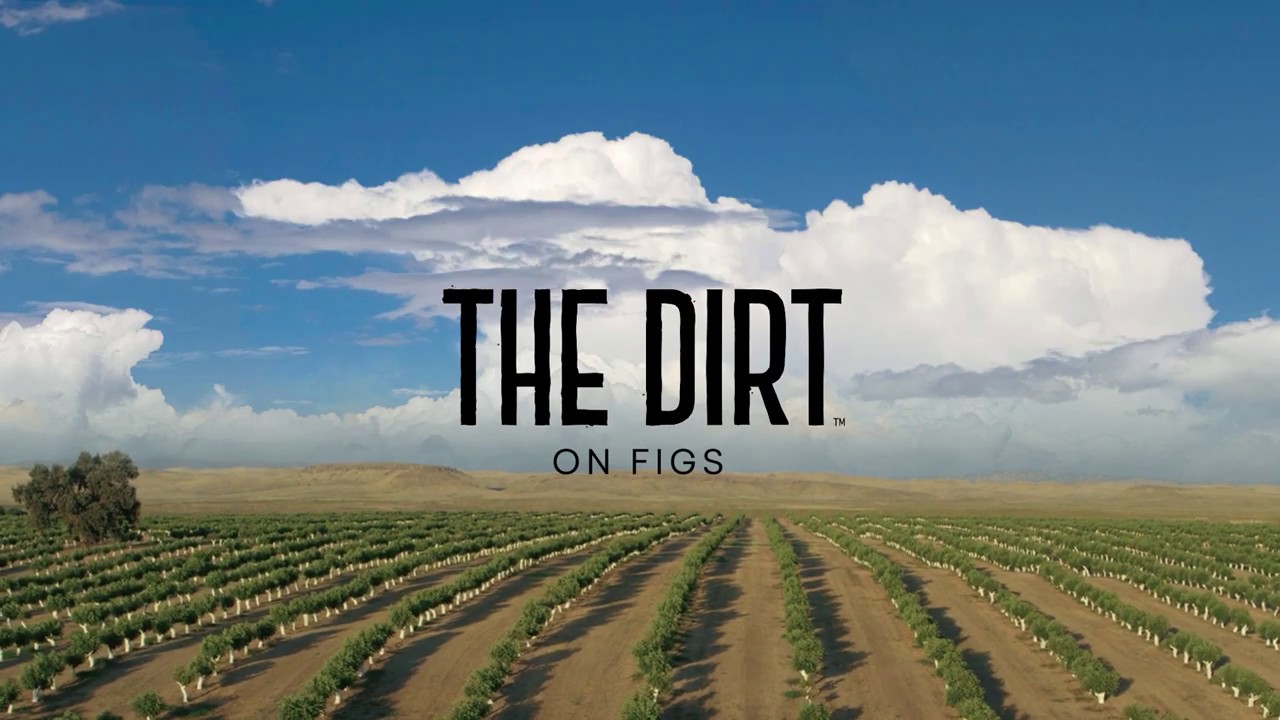 The Dirt on Figs by Daily Harvest
