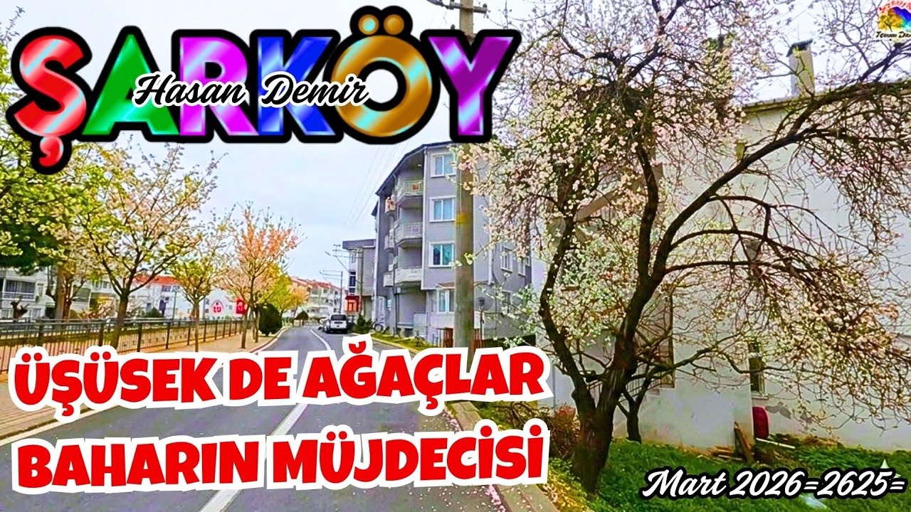 BAHAR GELDİ AĞAÇLAR ÇİÇEK AÇMAYA BAŞLADI AMA BİZ KIŞI YAŞAMAYA DEVAM EDİYORUZ MART 2026 = 2625 =