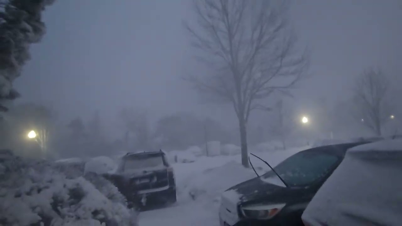 Great Blizzard of 2026 #3