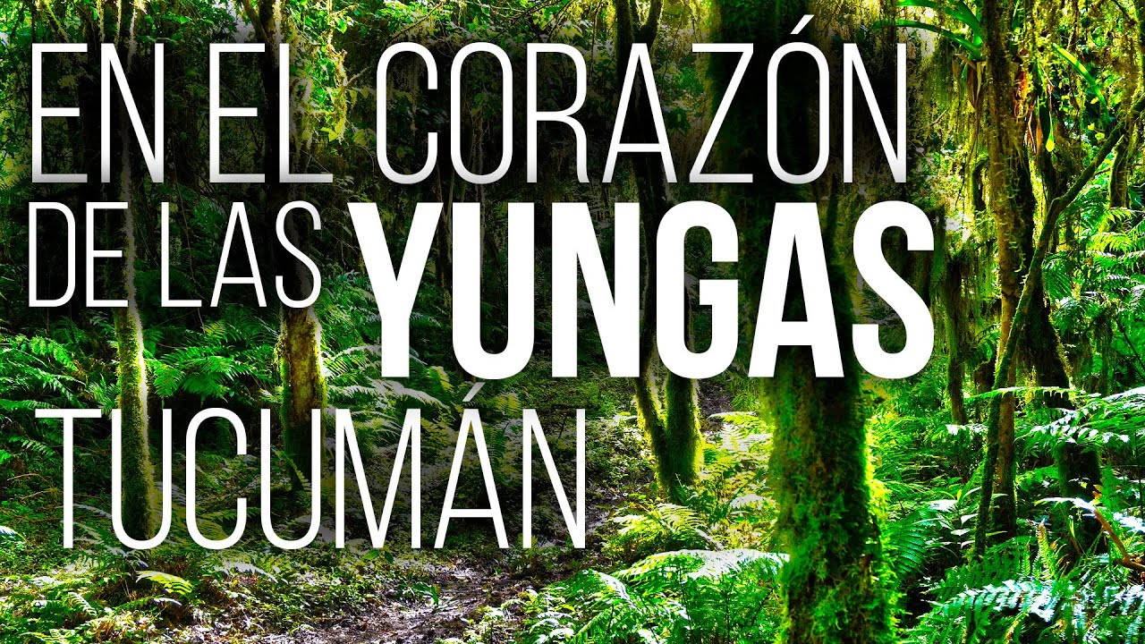 2 DÍAS en el CORAZÓN de las 🇦🇷 YUNGAS TUCUMANAS - PN ACONQUIJA