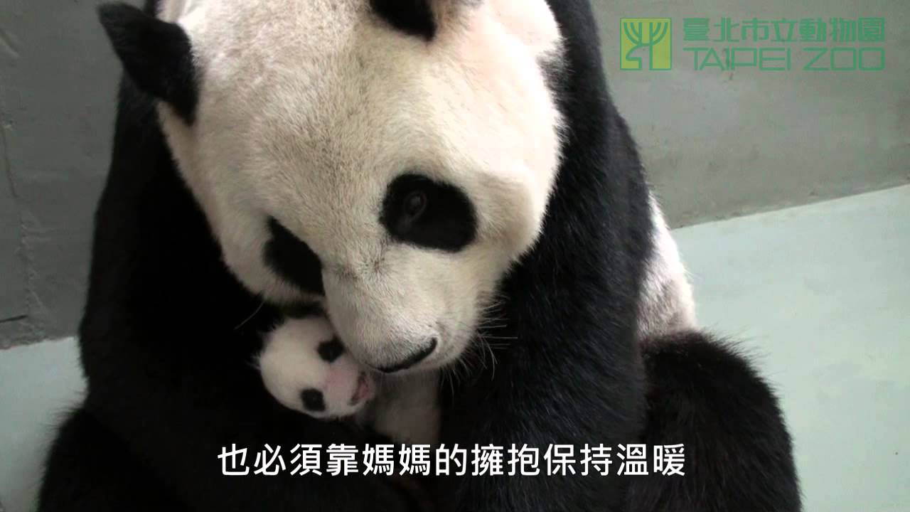 給我一個抱抱 Give Me a Hug (English Subtitle Available)