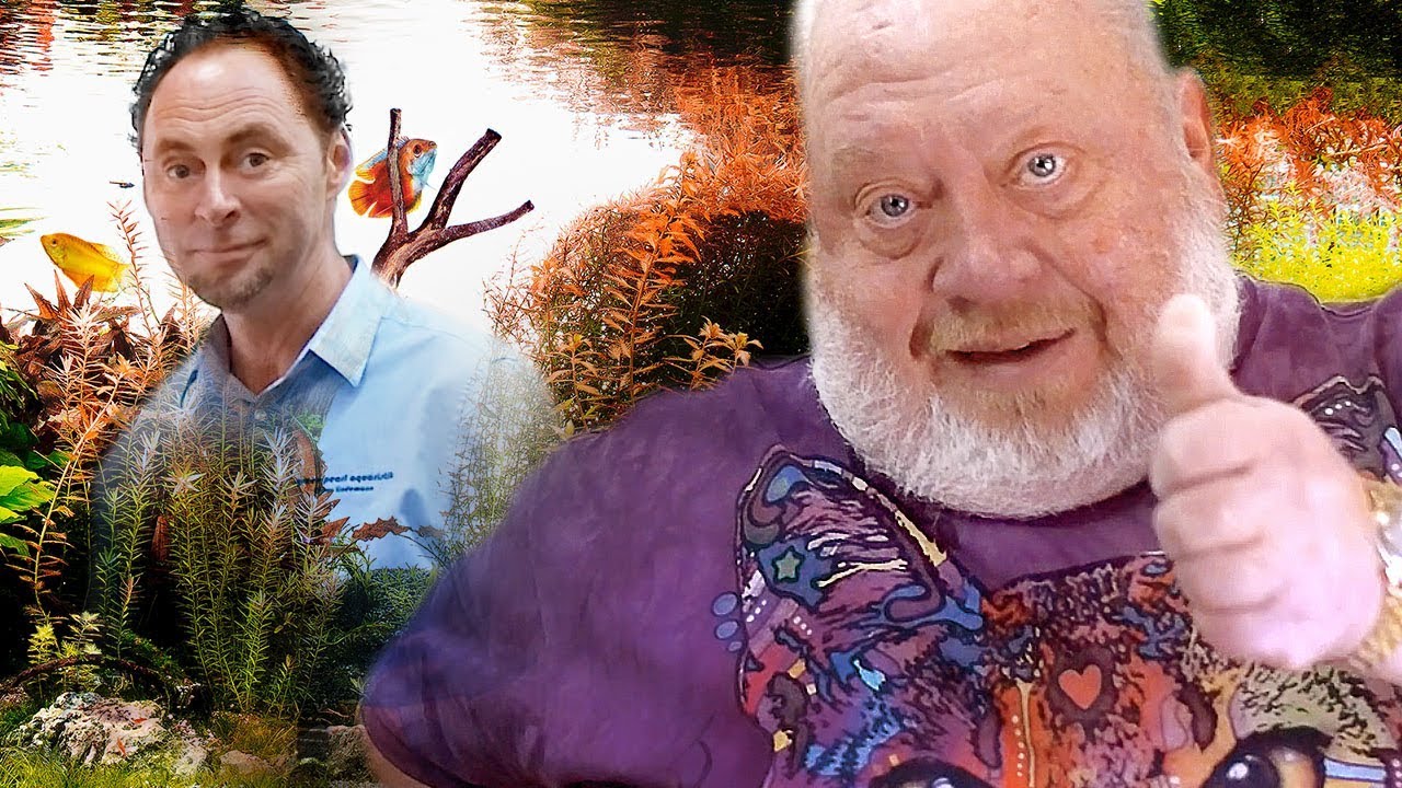 AQUASCAPING kann jeder | NORBERT ZAJAC | Zoo Zajac