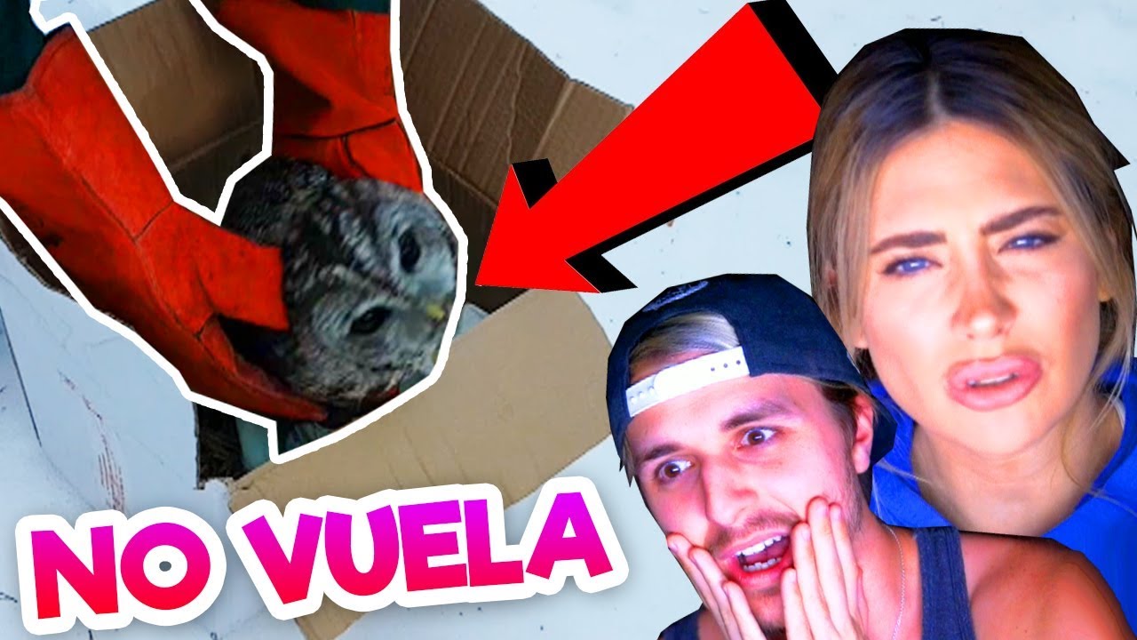 Intentamos liberar al Búho Herido PERO ALGO SALIÓ MAL...  (Parte 2)